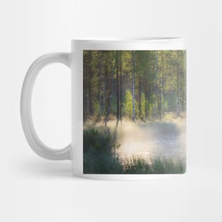 Small forest pond at sunrise Mug